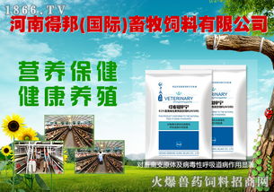 八重豪禮，巔峰鉅獻 河南得邦國際與火爆網(wǎng)攜手，共譜畜牧飼料行業(yè)新篇章