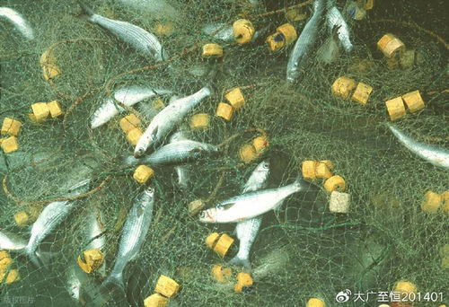 AquaTech 2026 馬來西亞漁業展覽會 領航漁業新紀元，驅動畜牧漁業飼料銷售創新